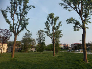 Nuovi parchi, e nuova piazza, a Desenzano del Garda — Gardanotizie - Garda Notizie