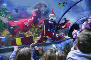 Natale a Gardaland SEA LIFE Aquarium 1