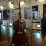 Viola