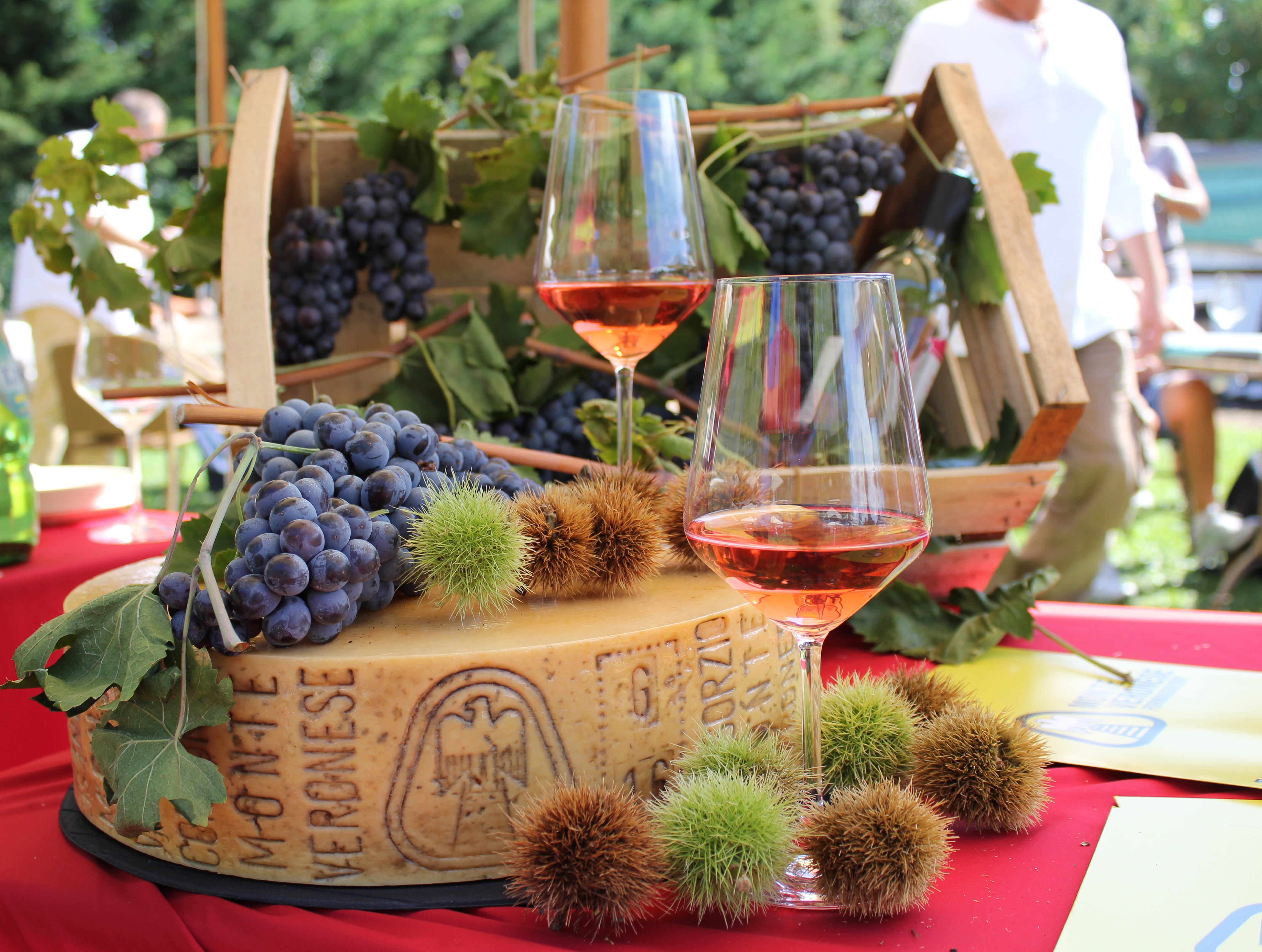 Lago di Garda in autunno: guida a frantoi, vendemmia, eventi storici e borghi 4 Castagne e piatti a base di Marrone di San Zeno DOP sul Monte Baldo