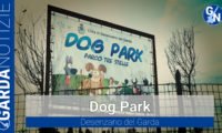 Dog Park Copertina (ph ldp)