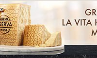 Grana Padano 468