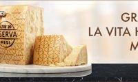 Grana Padano 768