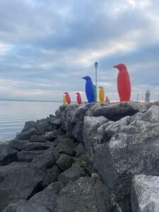 Desenzano "rompe" con la tradizione: arriva la Cracking Art 2 Cracking 1