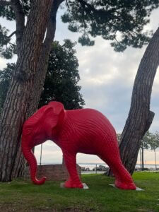 Desenzano "rompe" con la tradizione: arriva la Cracking Art 6 Cracking 4