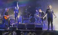 Wild-Dogs-01.jpg