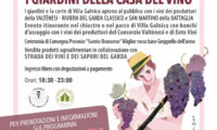 casa-del-vino-jpg