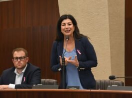 Dissesto Idrogeologico: Oltre 1,9 Milioni di Euro per la Sicurezza sul Lago di Garda e la Provincia di Brescia