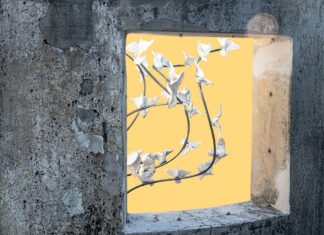 Il Vittoriale delle Italiane: mostra fotografica a Brescia Luisa Menazzi Moretti Poesia 2024