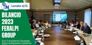 Feralpi Bilancio