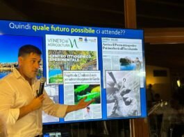 WhatsApp Image 2024 07 29 at 17.18.35