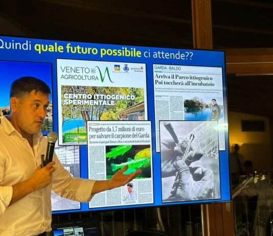 WhatsApp Image 2024 07 29 at 17.18.35