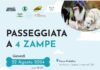 Passeggiata per Cani a Lonato: Attività e Consulenze Cinofile