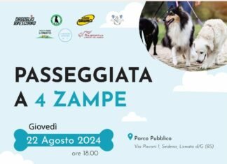 Passeggiata per Cani a Lonato: Attività e Consulenze Cinofile WhatsApp Image 2024 08 19 at 20.33.19