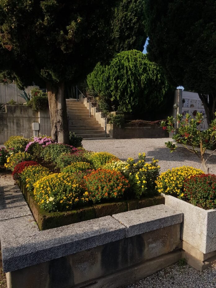 WhatsApp Image 2024-11-01 at 19.25.28