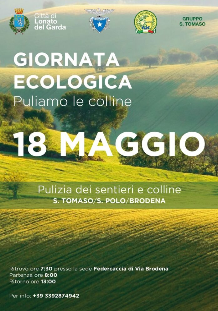 a31c8f52-2b5f-4baf-ac62-43f061a3ce1b