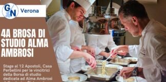 Alma Ambrosi Perbellini