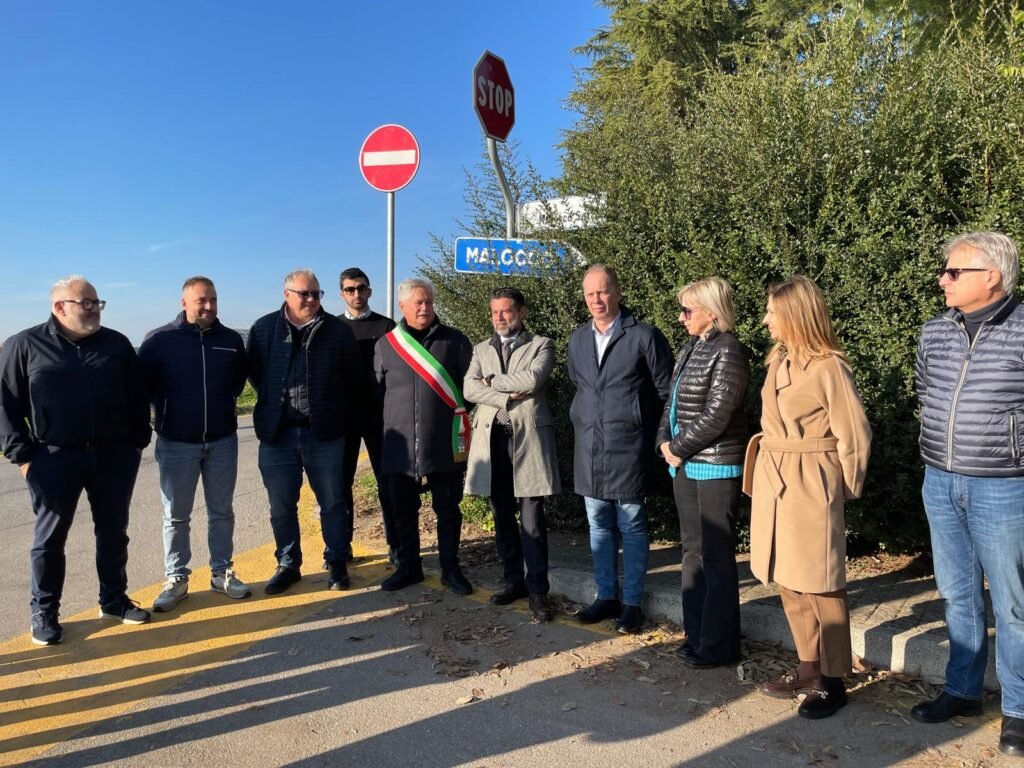 WhatsApp Image 2025 11 10 at 19.44.02