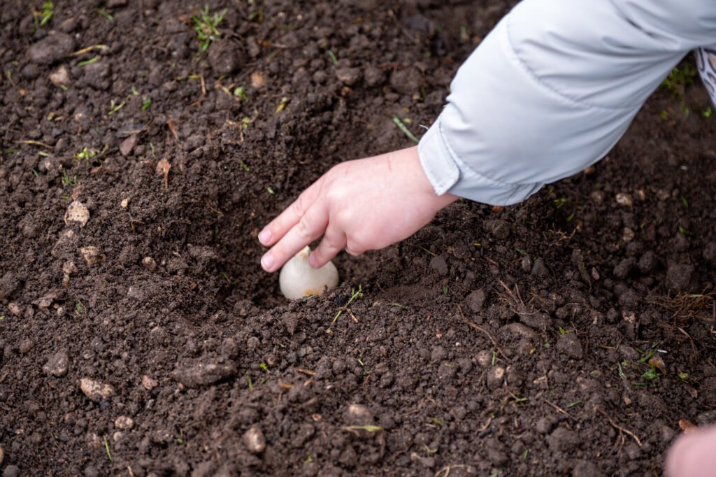 BrunaZavattiero 26 01 14 1198