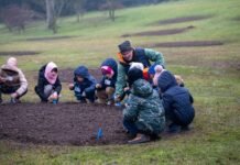 Parco Sigurtà Ambasciatori tulipanomania