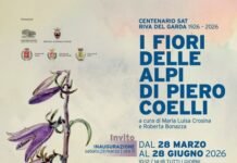 Mostra d’arte a Canale di Tenno celebra fiori alpini di Piero Coelli ifioridellealpi LOCANDINA