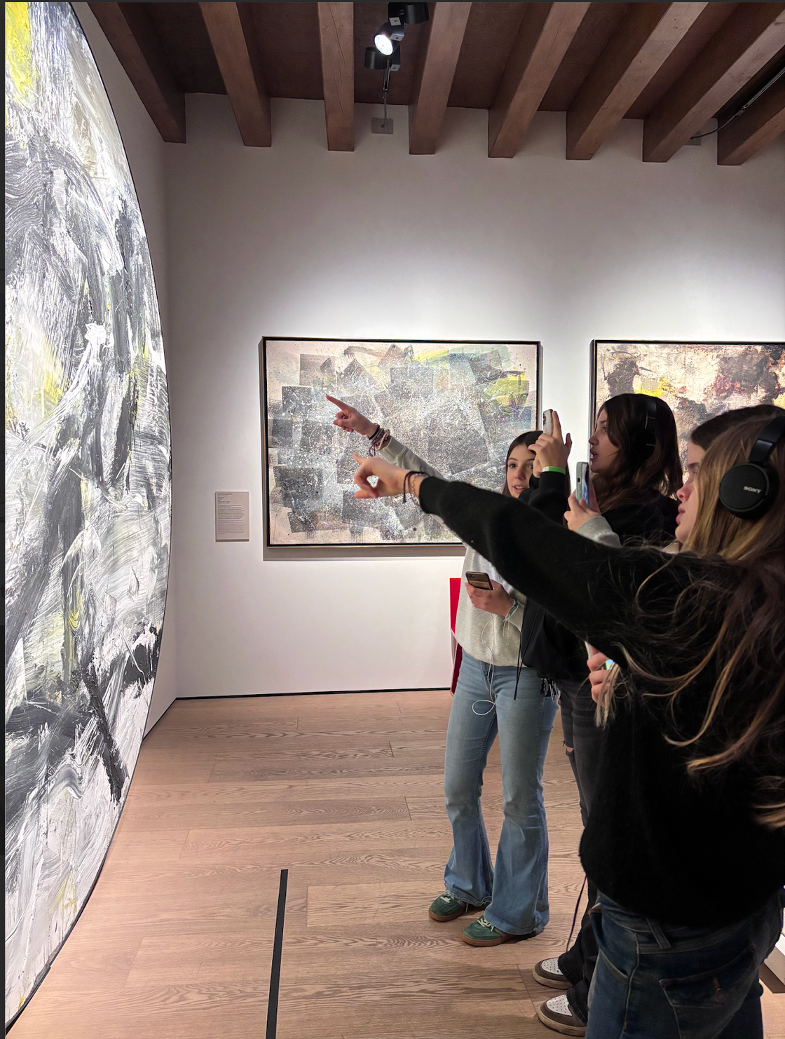 Foto di visite Palazzo Maffei