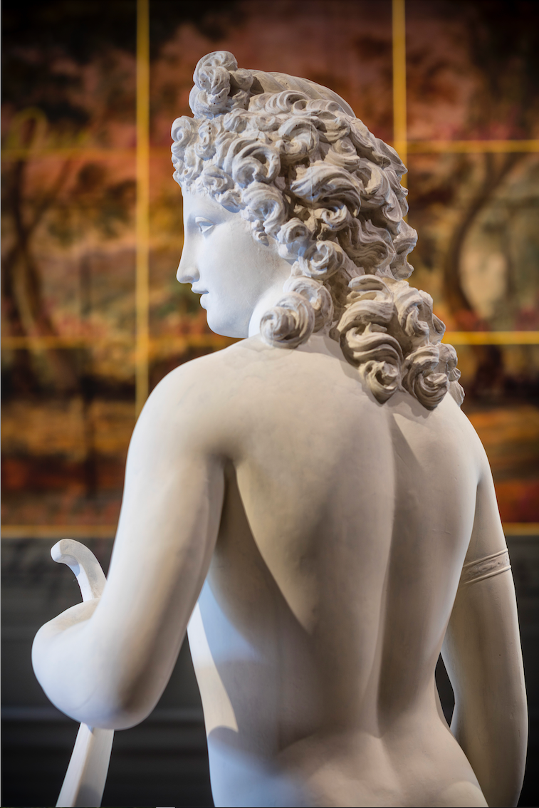 Foto di visite Palazzo Maffei