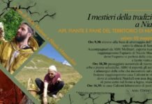 Locandina evento Niardo 2026 su api, piante e pane del territorio.