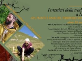 Locandina evento Niardo 2026 su api, piante e pane del territorio.