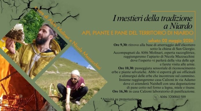 Locandina evento Niardo 2026 su api, piante e pane del territorio.