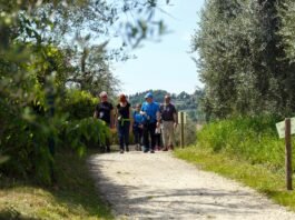 camminata enogastronomica lago di garda th w1920 q90