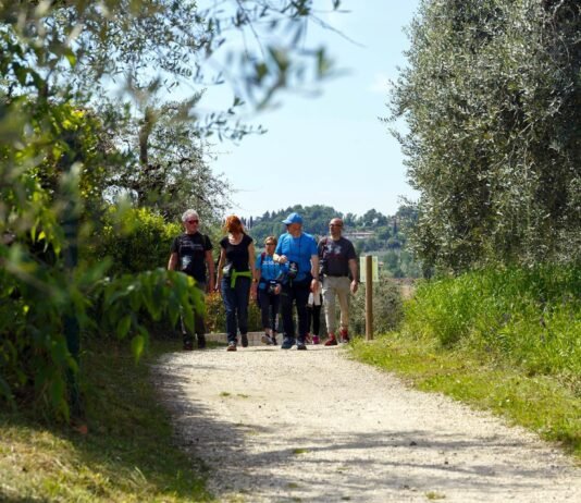 camminata enogastronomica lago di garda th w1920 q90