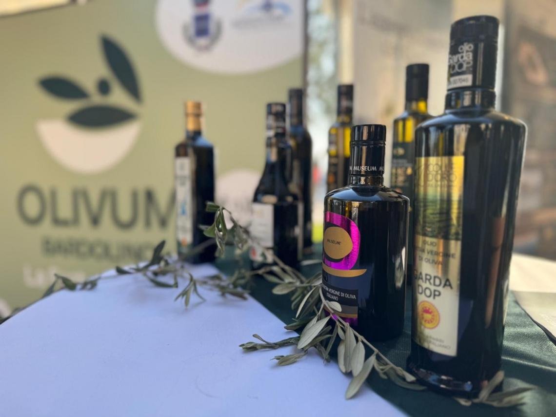 Foto di olio Bardolino