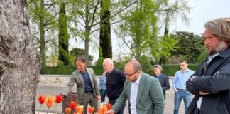 Autorità locali osservano i tulipani arancioni a Bardolino per Tulipanomania.