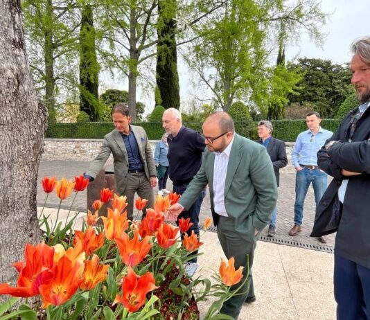 Autorità locali osservano i tulipani arancioni a Bardolino per Tulipanomania.