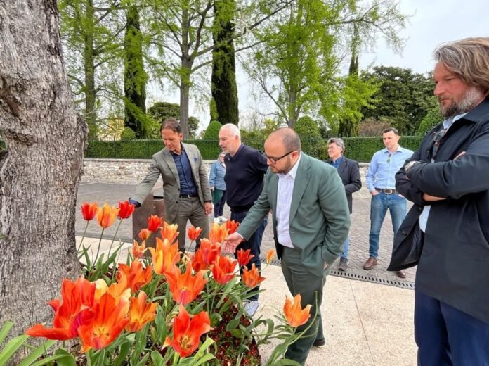Autorità locali osservano i tulipani arancioni a Bardolino per Tulipanomania.