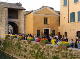 Visitatori a Sirmione lungo le mura storiche con fioriere di tulipani.