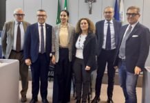 Rappresentanti istituzionali durante la fase operativa del progetto Garda Unico a Desenzano.