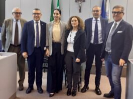 Rappresentanti istituzionali durante la fase operativa del progetto Garda Unico a Desenzano.