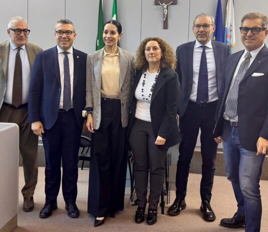 Rappresentanti istituzionali durante la fase operativa del progetto Garda Unico a Desenzano.