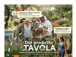 Tignale, il 21 giugno l’esperienza “Api & Miele” con chef Andrea Ghidotti Miele