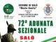 La 72ª Adunata Sezionale degli Alpini a Salò
