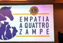 Empatia a 4 zampe a Verona Fiere, il cerchio della fiducia tra cani e inclusione Empatia a 4 zampe a Verona Fiere