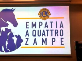 Empatia a 4 zampe a Verona Fiere, il cerchio della fiducia tra cani e inclusione Empatia a 4 zampe a Verona Fiere