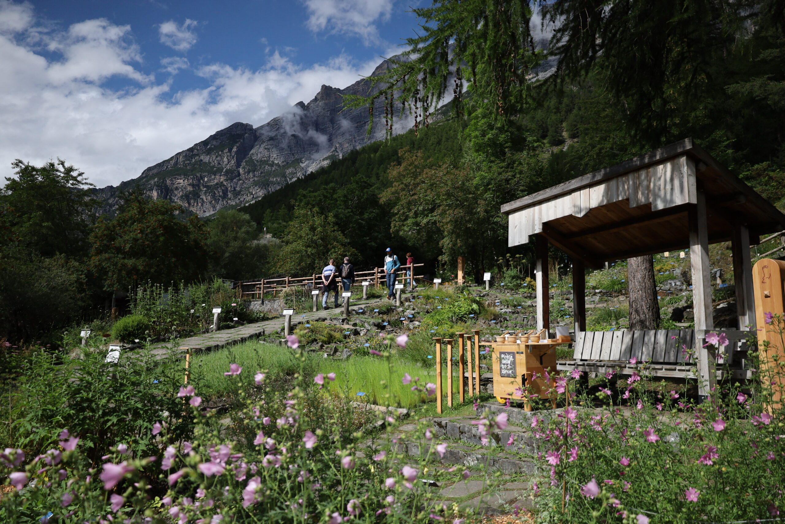 Giardino Botanico Alpino Rezia, una delle sedi della Rete degli Orti Botanici della Lombardia