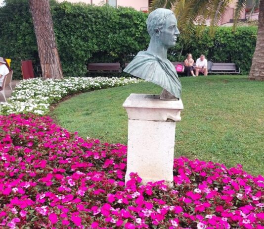 immagine2