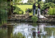 Fioriture ed eventi di giugno al Parco Giardino Sigurtà