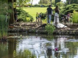 Fioriture ed eventi di giugno al Parco Giardino Sigurtà