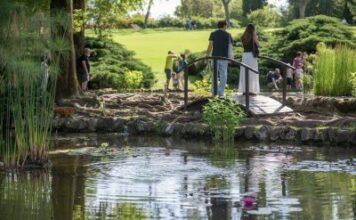 Fioriture ed eventi di giugno al Parco Giardino Sigurtà