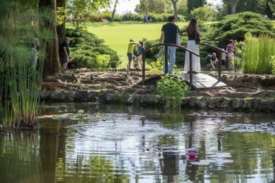 Fioriture ed eventi di giugno al Parco Giardino Sigurtà